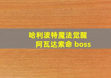 哈利波特魔法觉醒 阿瓦达索命 boss